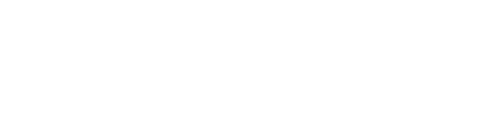 DIFFUS LOGO WHITE edit